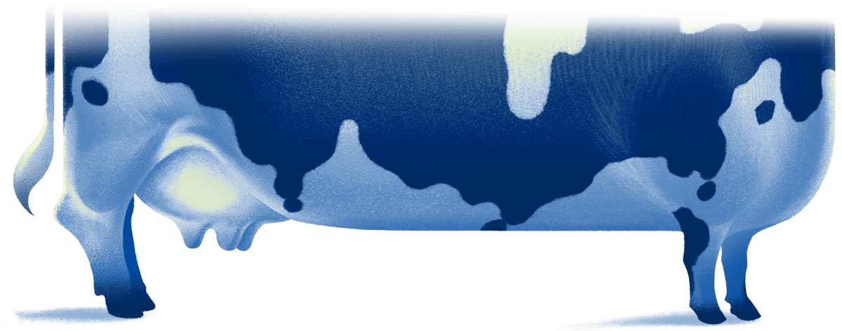 Scientists Find New Clue to Cut Cow Methane by 30% - Image 4
