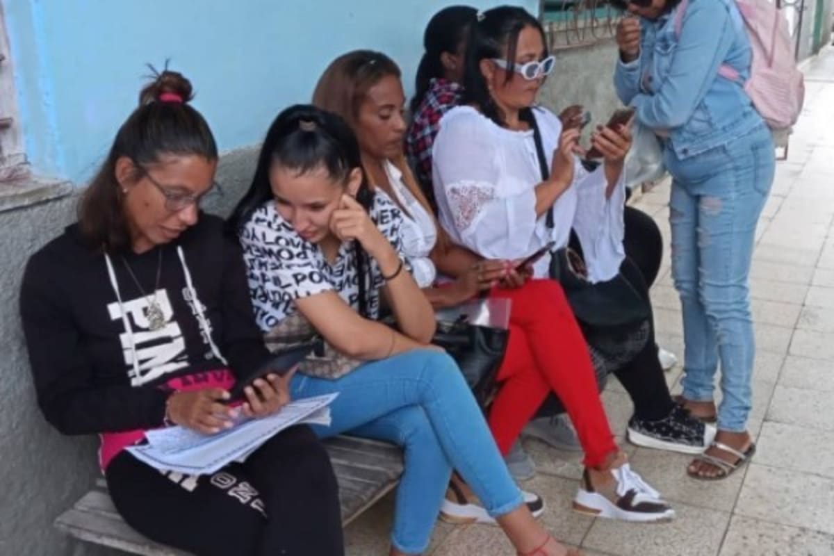 Cuban Town Unites to Plant Trees and Fight Climate Change - Image 4