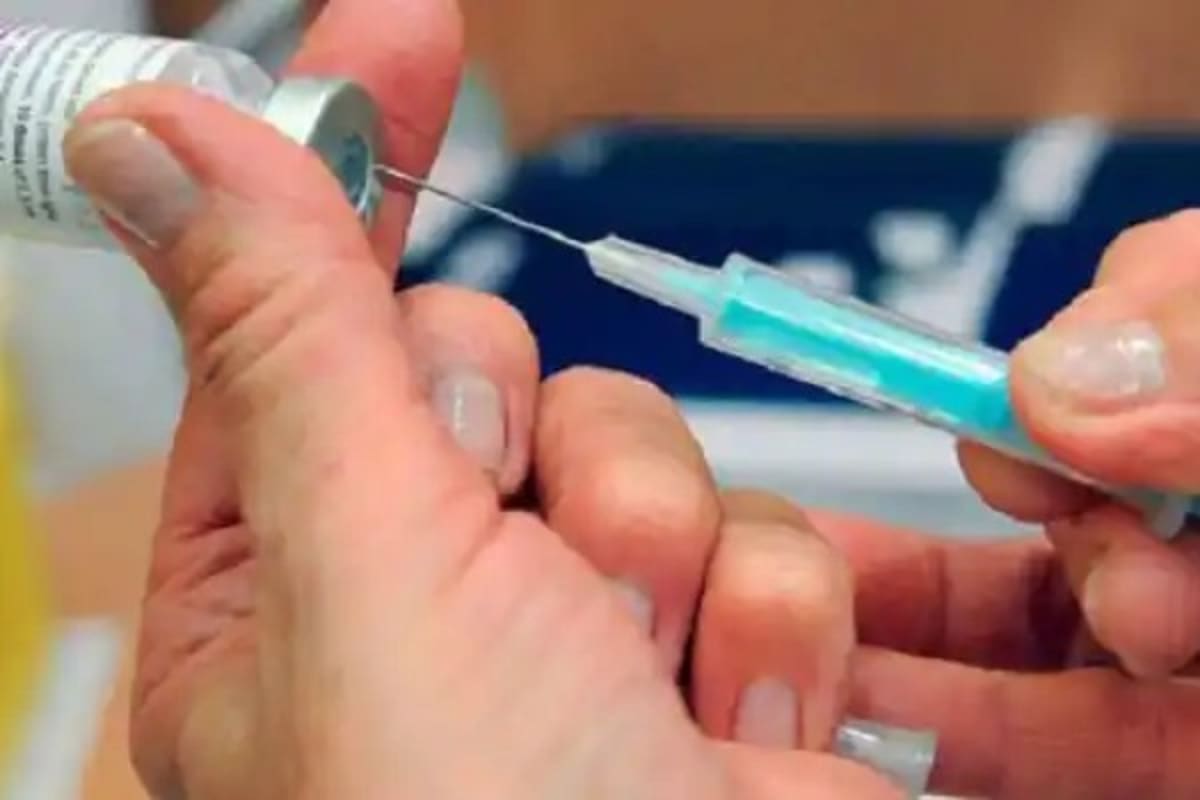 Cuban Town Unites to Plant Trees and Fight Climate Change - Image 3