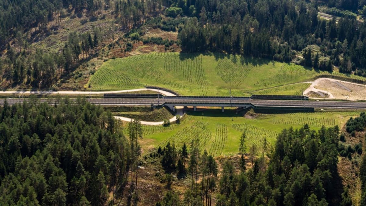 Austrian Rail Plants 145,000 Trees Along New High-Speed Line