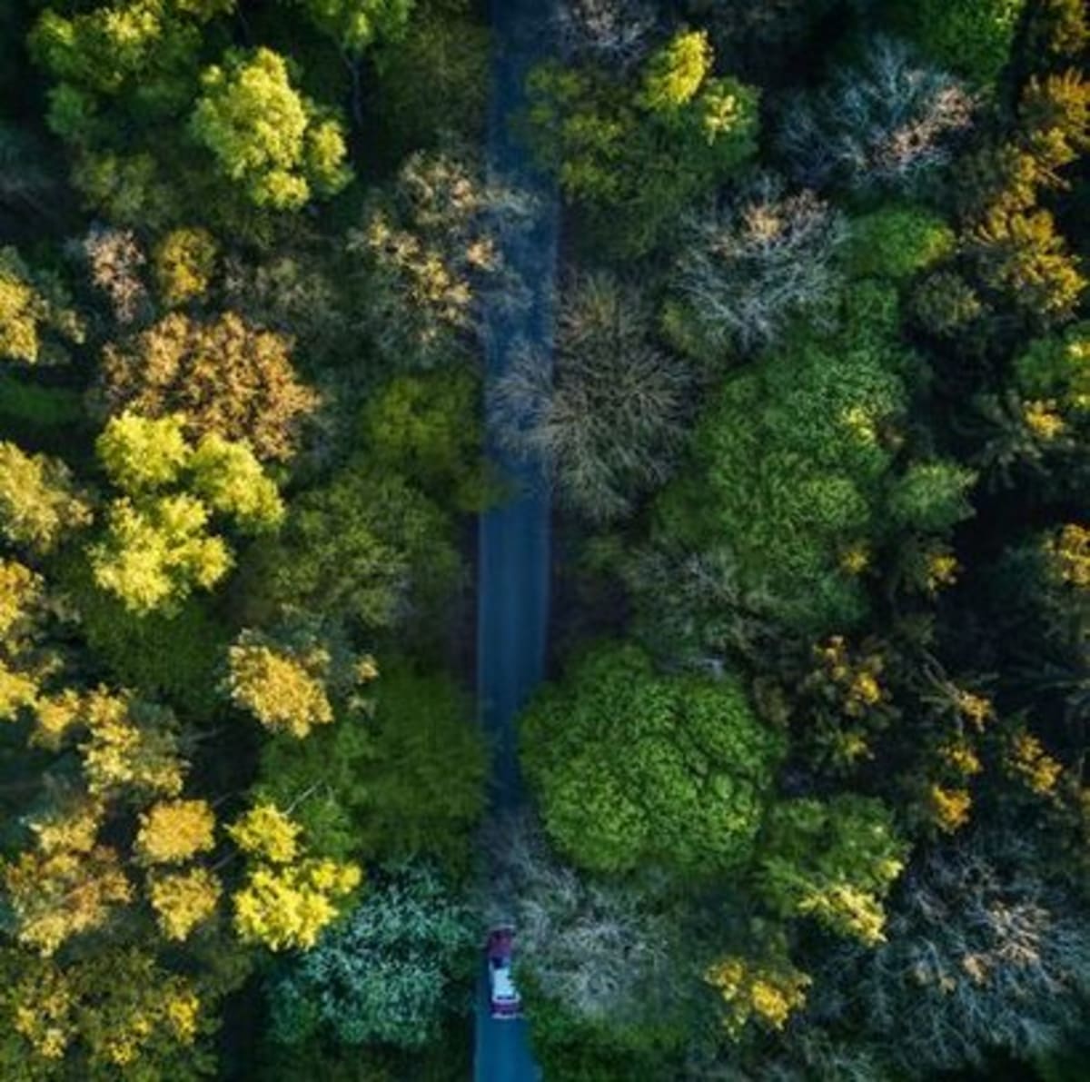 EU Ethanol Cuts Emissions 92%, Nears Carbon Neutrality