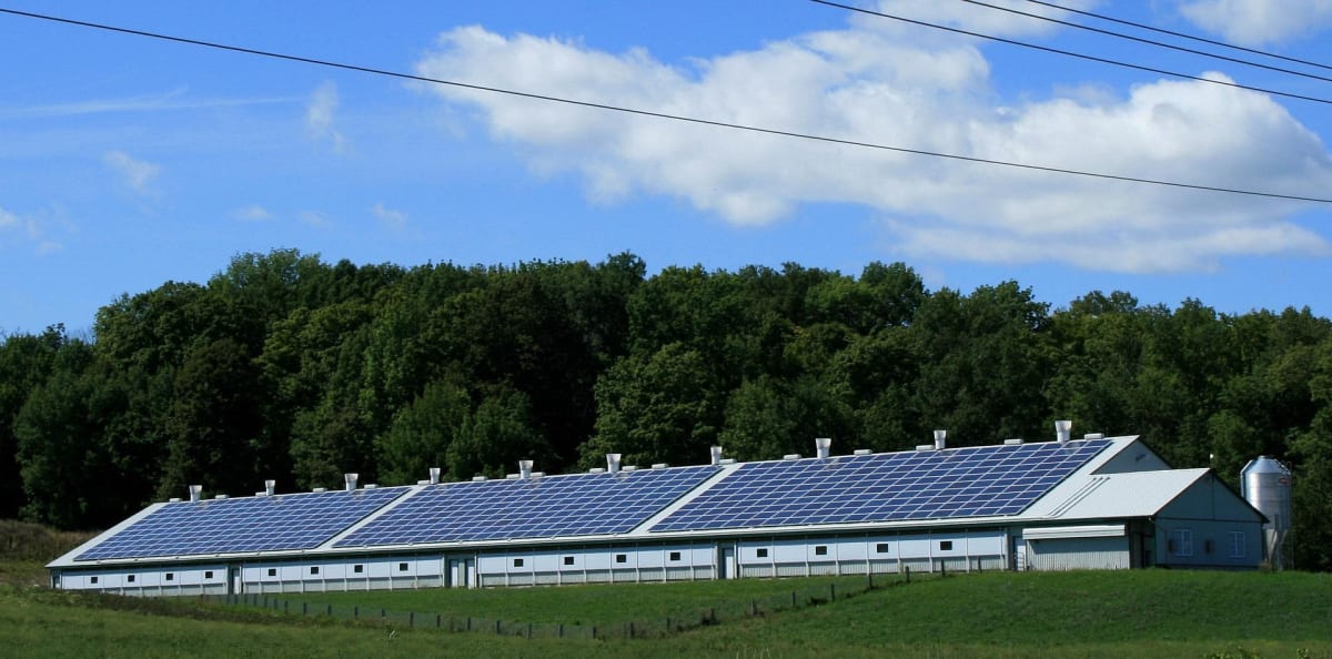 Large solar panel farm stretching across landscape with bright blue sky overhead