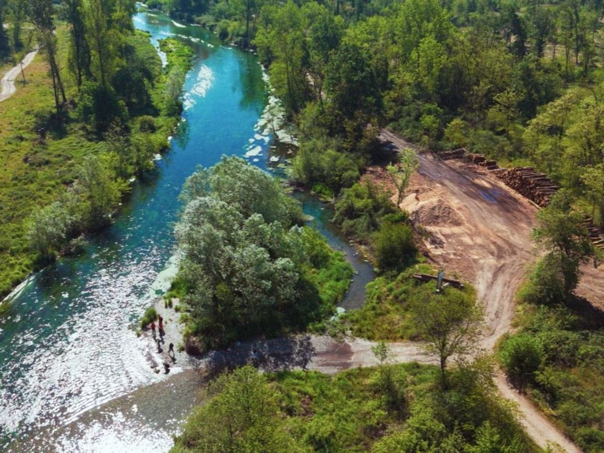 6,000 Trees Bring Italian Island Back After 2023 Storm