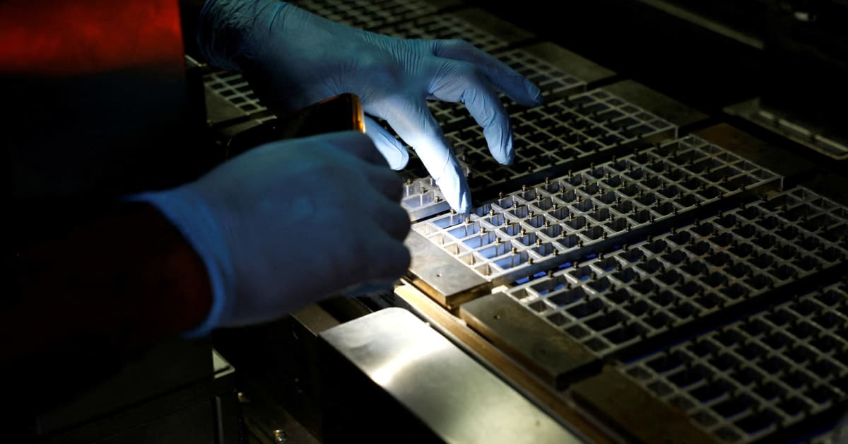 India Builds Solar Panel Empire to Power Clean Energy Future