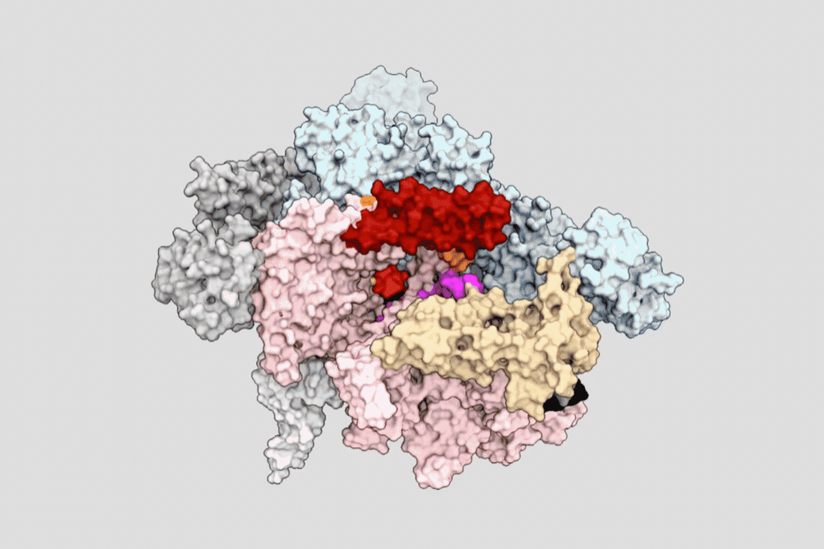 Scientists Unlock RNA Secret That Could Fight Tuberculosis