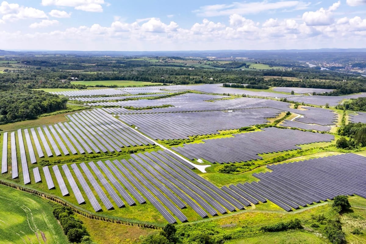 Solar Industry Defeats Anti-Climate Lawmakers in Primaries - Image 2