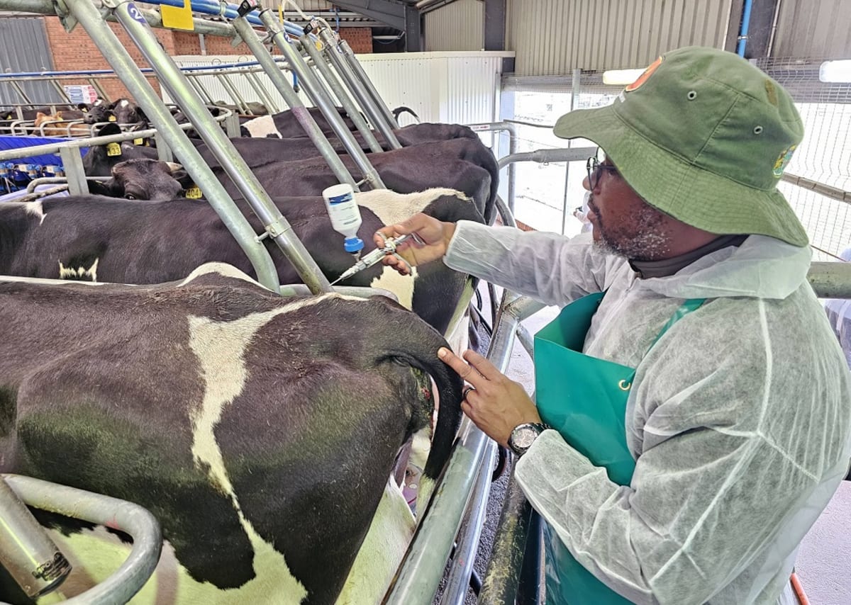 South Africa Vaccinates 2M Animals in Disease Fight