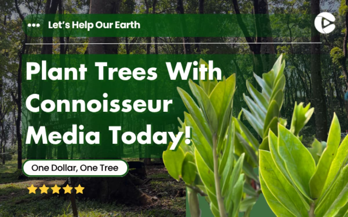 Young saplings planted in rows in deforested area with volunteers working in background