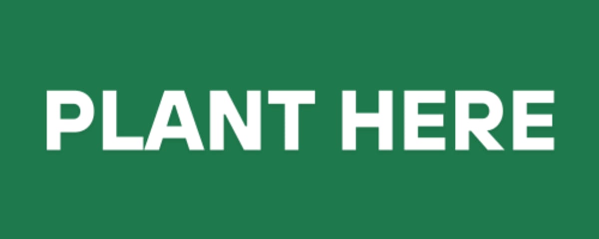 $1 Plants One Tree in Global Reforestation Push - Image 2