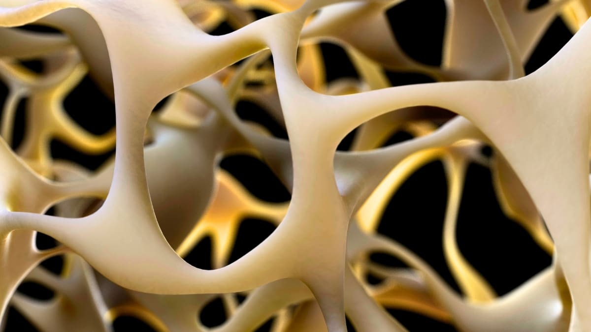 Scientists Discover Bone Receptor That Could Reverse Aging