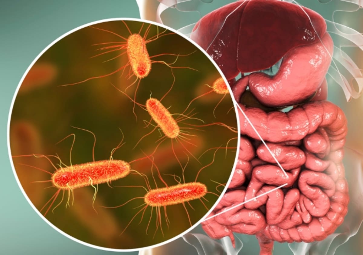 Cheap Fiber Supplements Boost Memory in Older Adults - Image 5