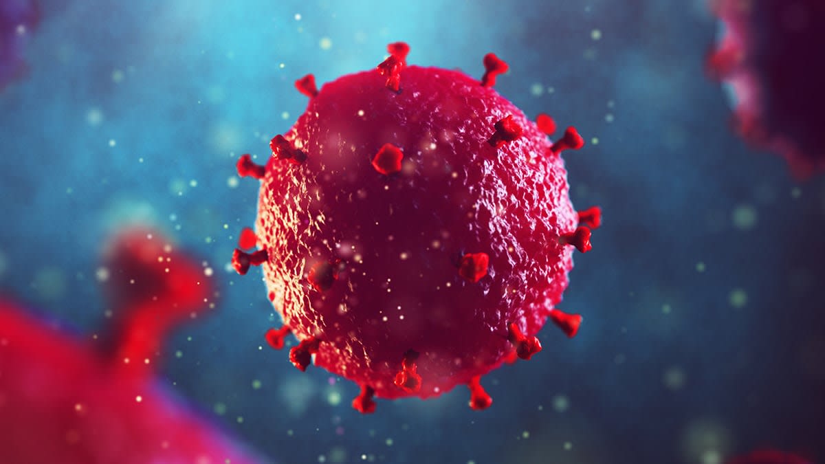 Microscope view of healthy stem cells used in HIV remission breakthrough treatment