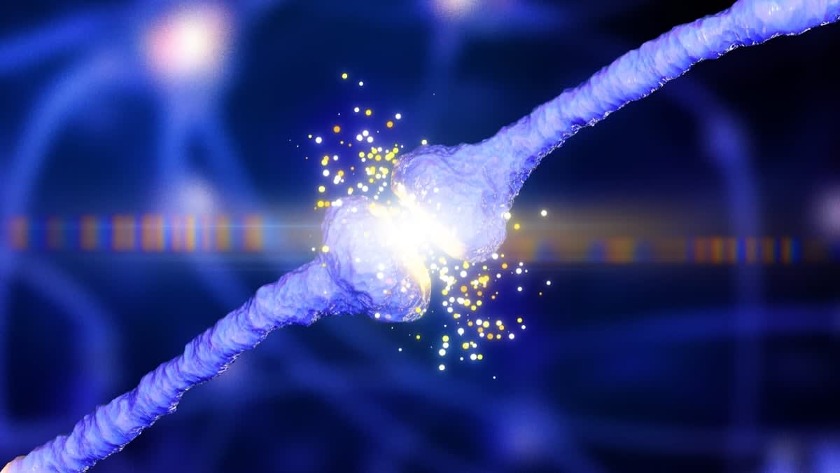 Scientists May Have Solved the Alzheimer's Mystery