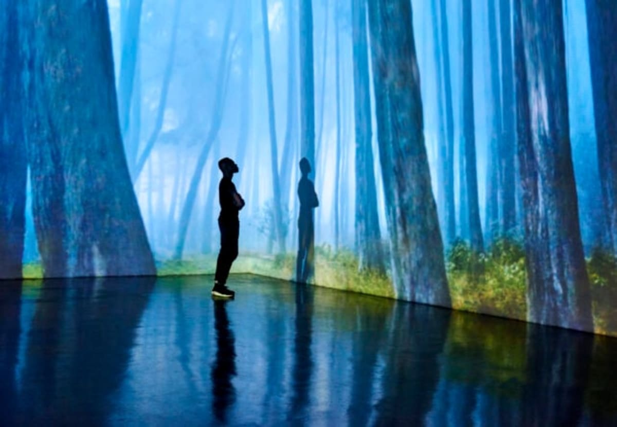 Museums Slow Aging as Much as Exercise, Study Shows - Image 5