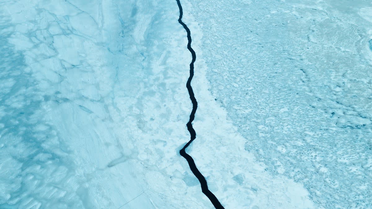 Ocean bottom seismometer device on Pacific seafloor measuring underwater earthquake activity near fault line