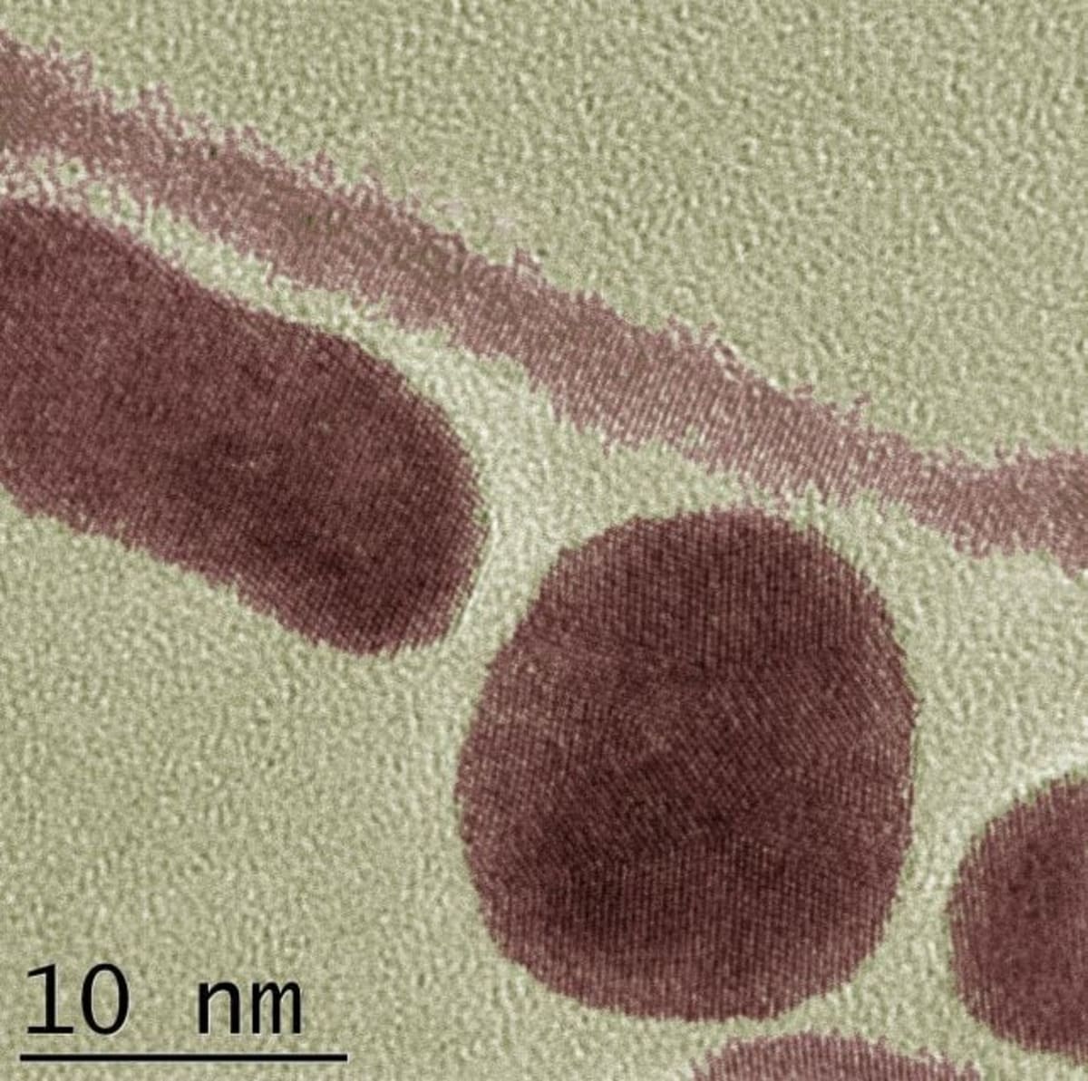 Scientists Solve Mystery of Why Gold Never Rusts - Image 4