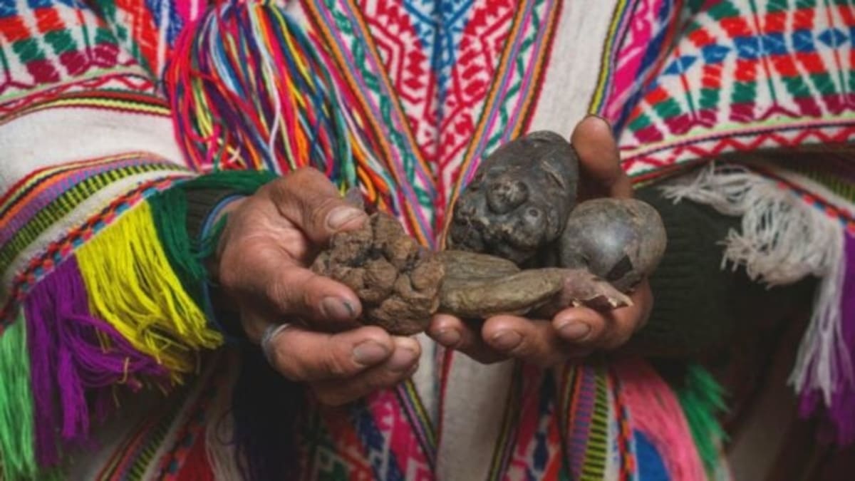 Peruvians Evolved Super Digestion for Potatoes Over 10,000 Years - Image 2