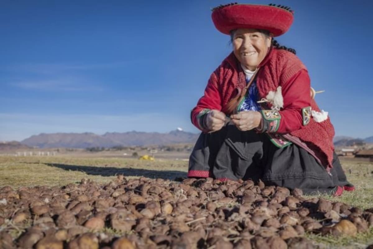 Peruvians Evolved Super Digestion for Potatoes Over 10,000 Years - Image 3