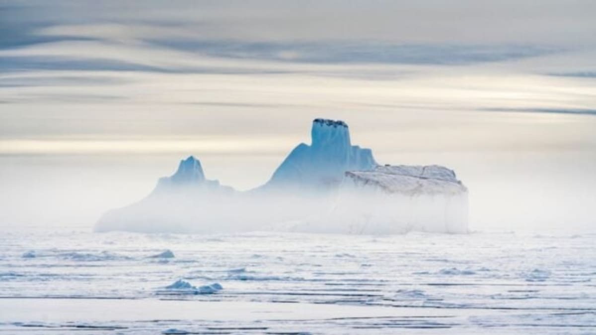 Greenland Icebergs Creating New Ocean Habitats - Image 2