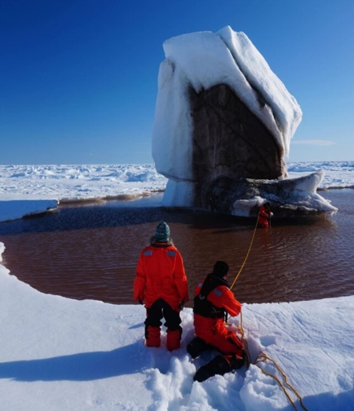 Greenland Icebergs Creating New Ocean Habitats - Image 4