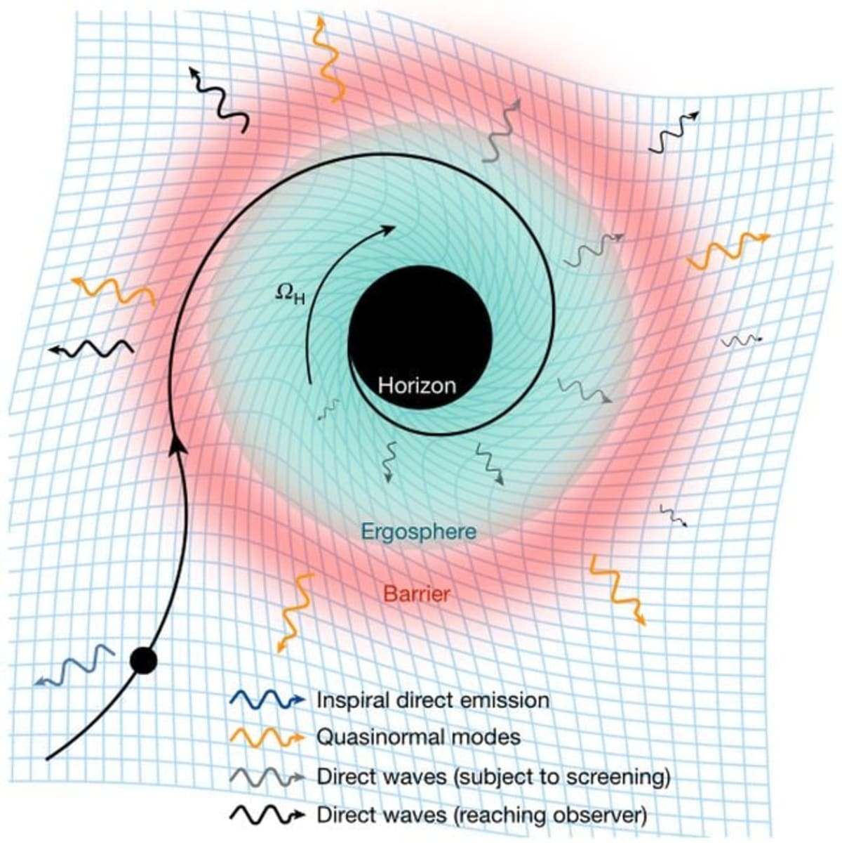 Scientists Detect First Signal From Black Hole's Edge - Image 5