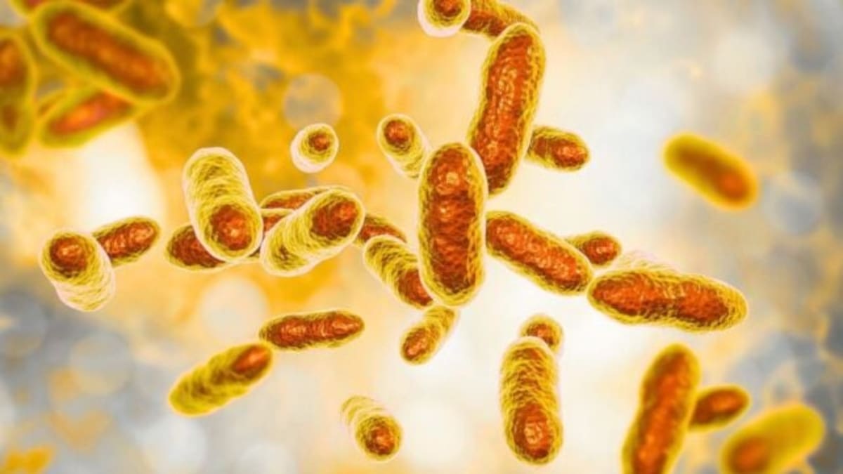 Bacteria Clean 95% of Uranium From German Mine Water - Image 2