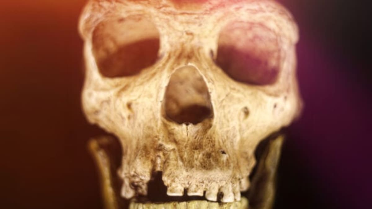 Humans and Neanderthals Shared Culture for 20,000 Years - Image 2