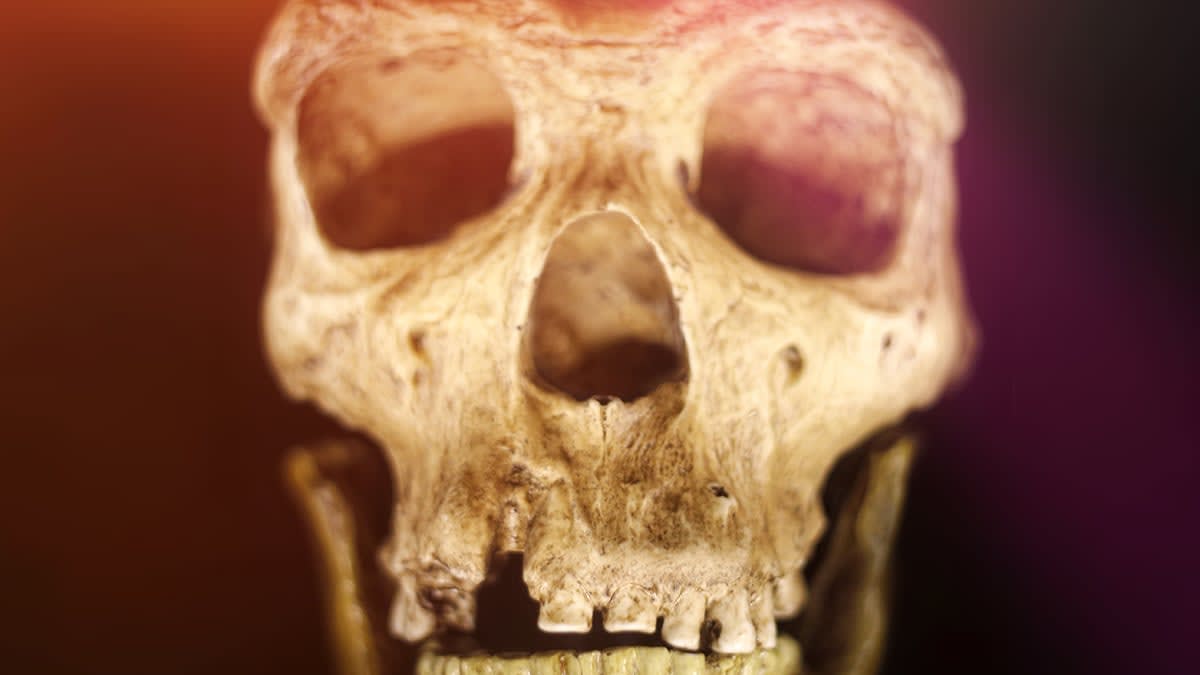 Humans and Neanderthals Shared Culture for 20,000 Years