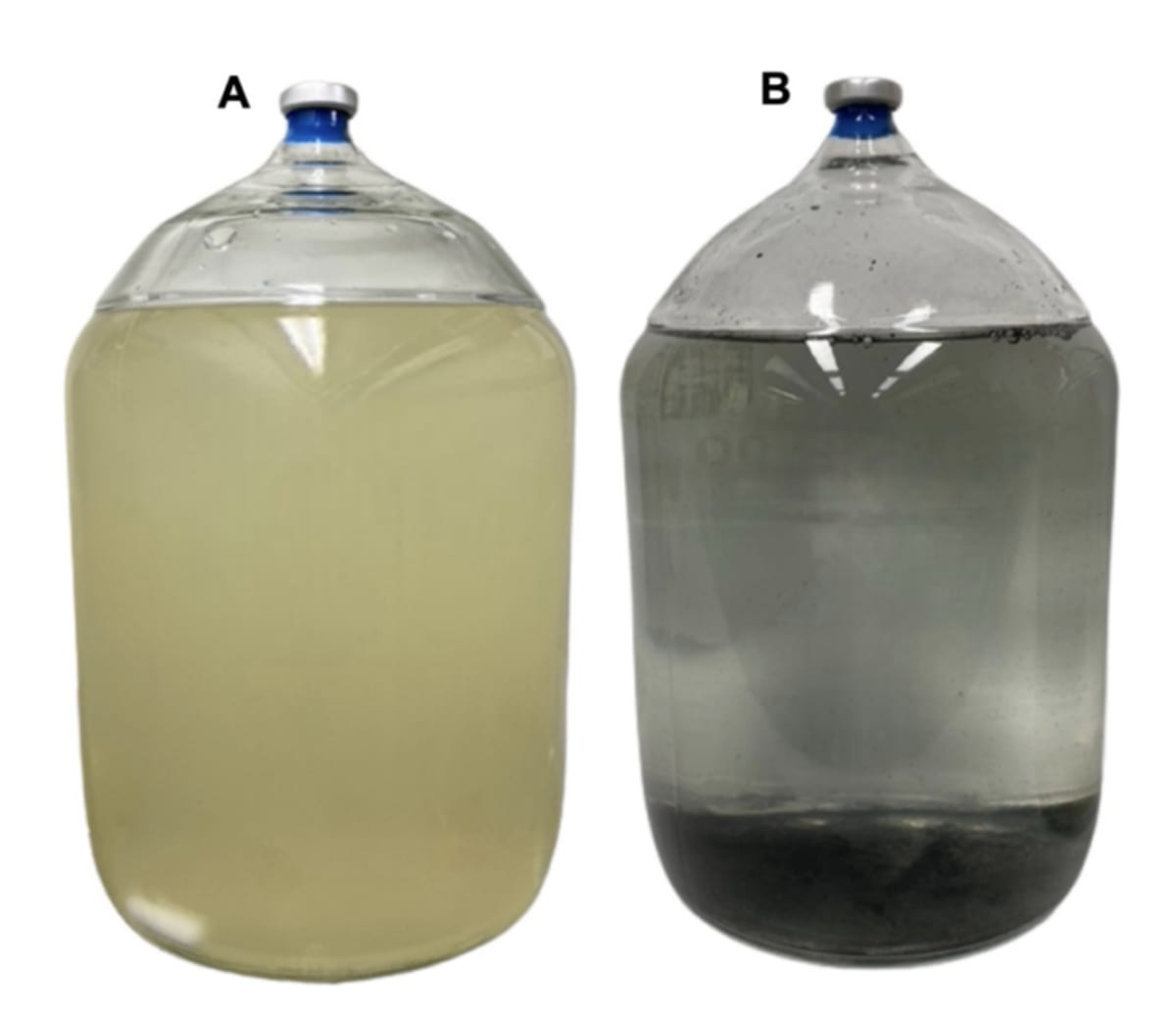 Bacteria Clean 95% of Uranium From German Mine Water - Image 4