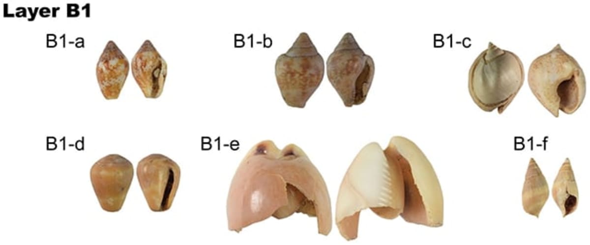 Humans and Neanderthals Shared Culture for 20,000 Years - Image 3