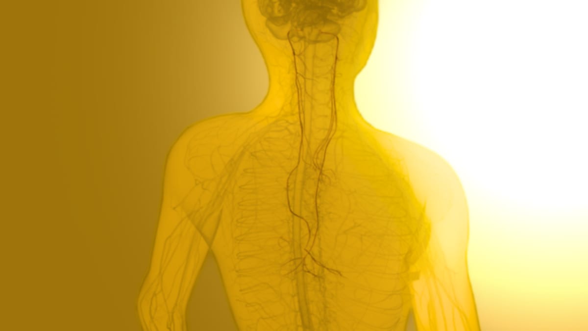 Food Boosts Memory Through Gut-Brain Signal, Study Finds - Image 2