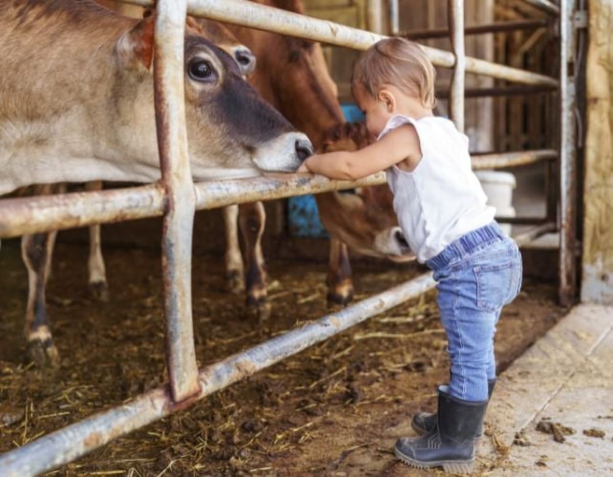 Scientists Find 9 Bacteria That Protect Kids From Asthma - Image 4