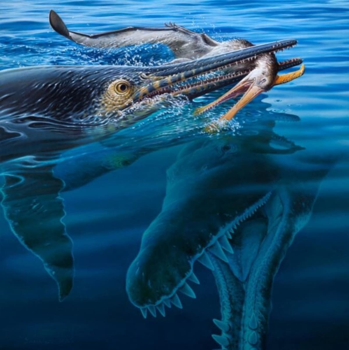 100-Million-Year-Old Fossil Shows 3 Ancient Predators - Image 3