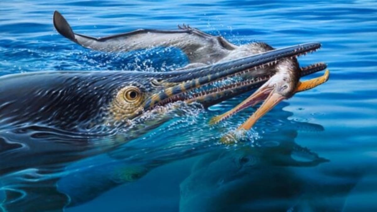 100-Million-Year-Old Fossil Shows 3 Ancient Predators - Image 2