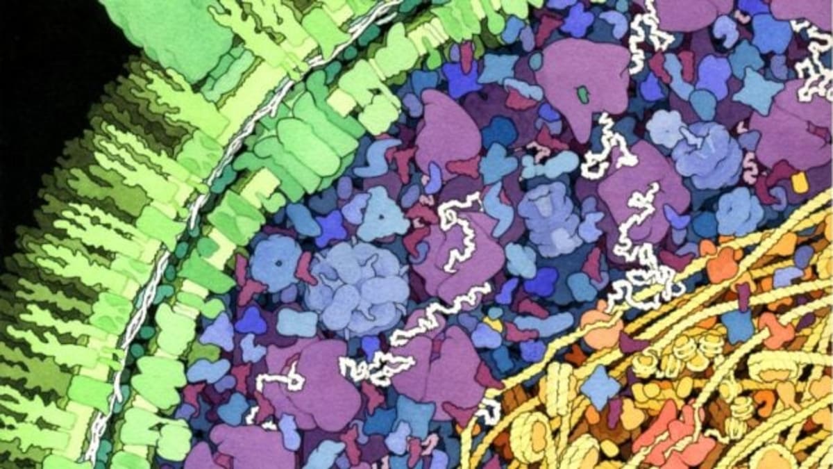 Scientists Find Bacteria Making DNA From Protein, Not DNA - Image 2
