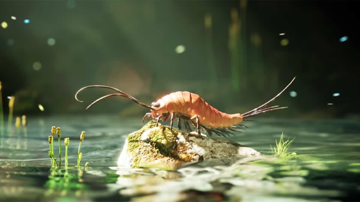 324-Million-Year-Old Fossil Reveals New Insect Species