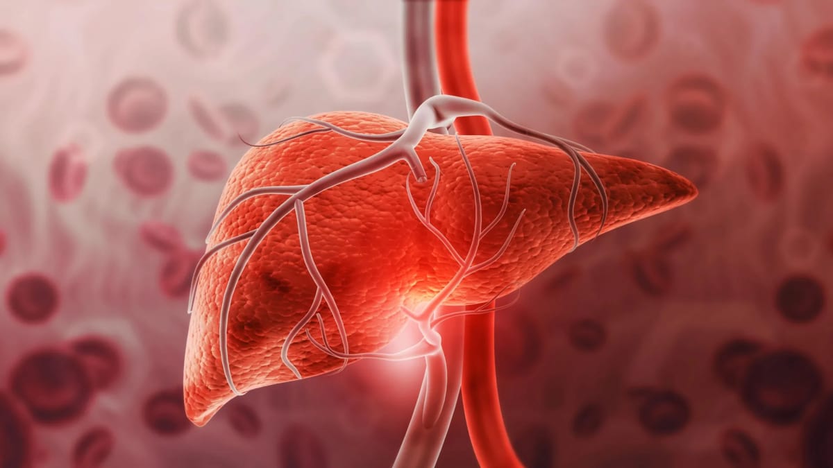 Weight-Loss Hormone Protects Liver Without Shedding Pounds