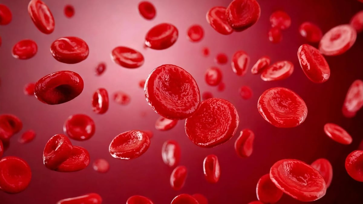 Scientists Crack 50-Year Blood Mystery, Save Rare Patients
