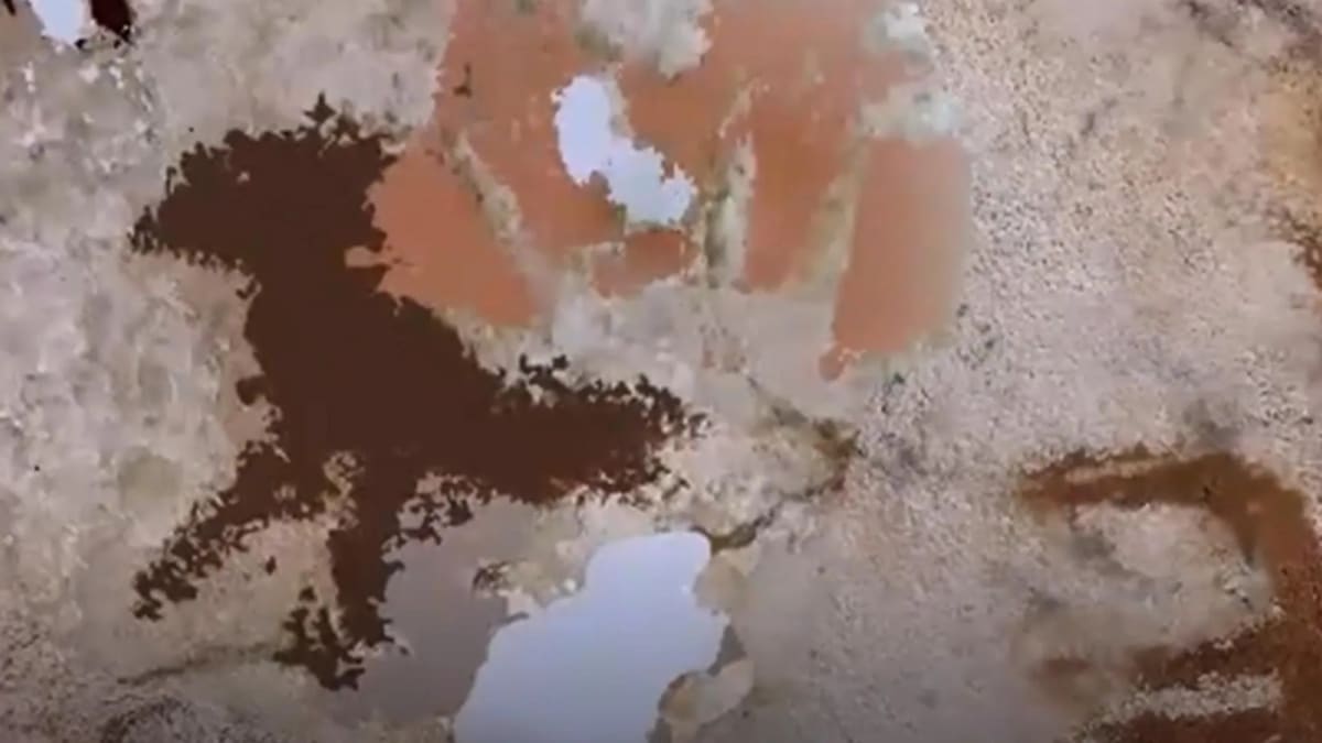 67,800-Year-Old Handprint Rewrites Human Art History