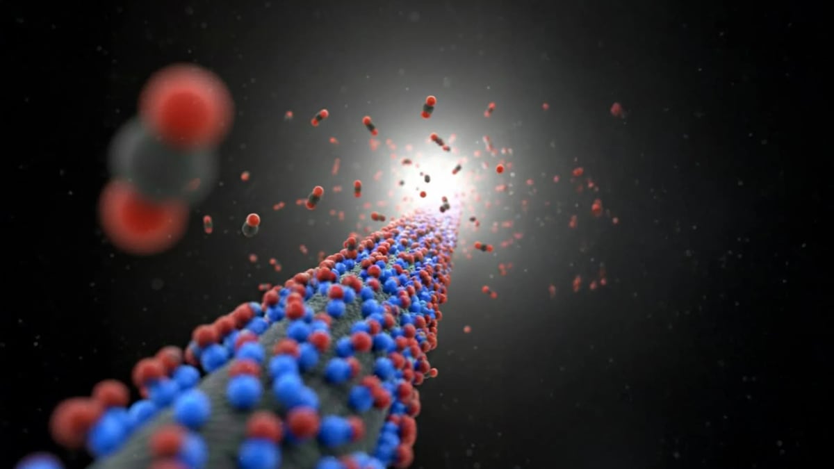 Microscopic view of carbon fiber material with amine groups arranged for efficient carbon dioxide capture