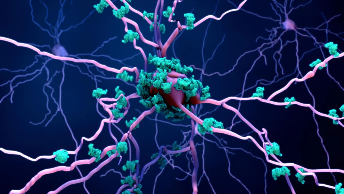 Microscope view of healthy brain neurons with glowing nuclei representing Alzheimer's research breakthrough
