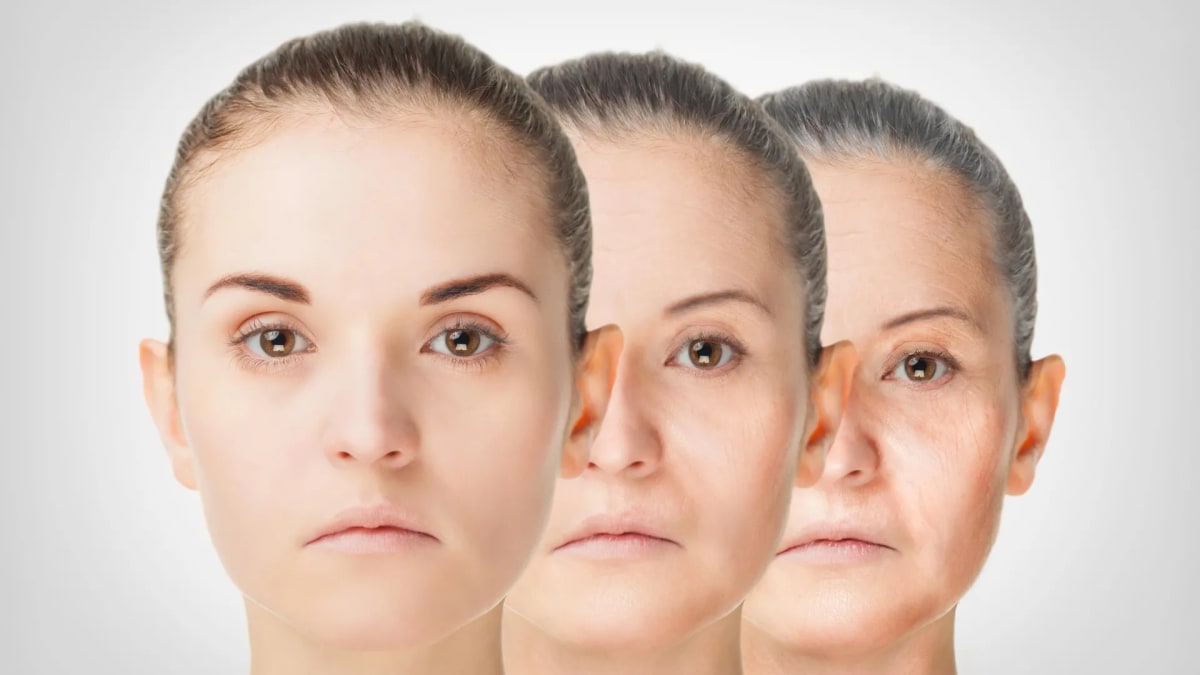 Yale Scientists Find Way to Fight Aging Without Dieting