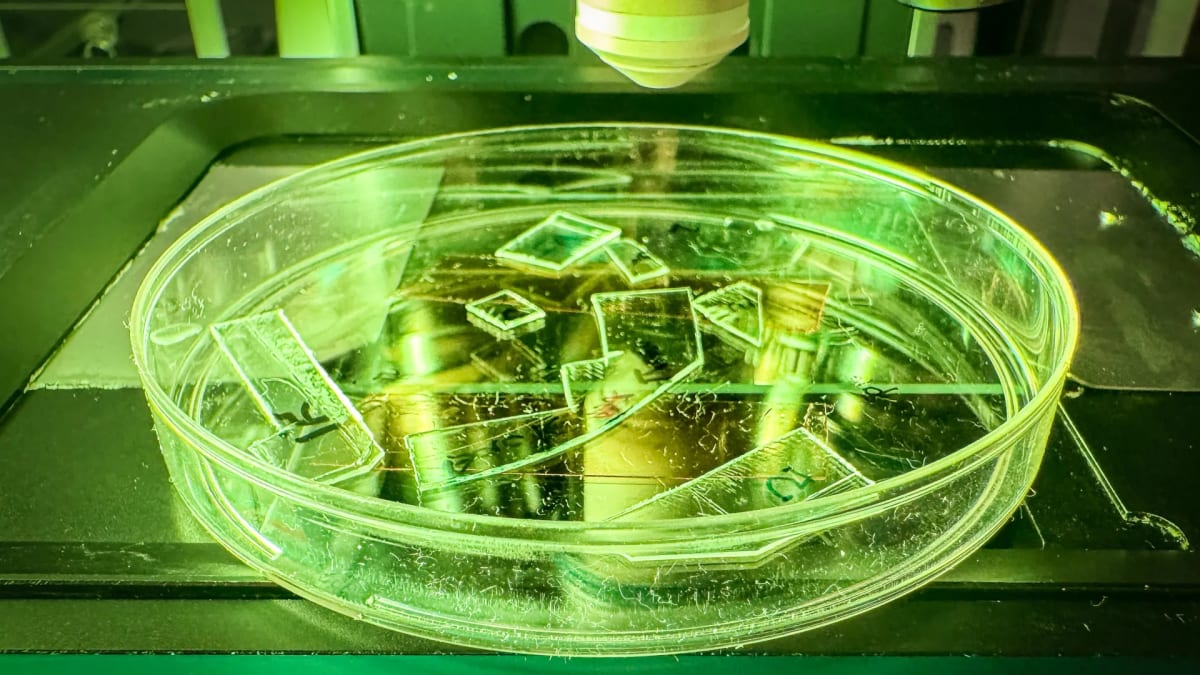 Clear acrylic plastic samples with engineered nanotextured surfaces that physically destroy viruses on contact