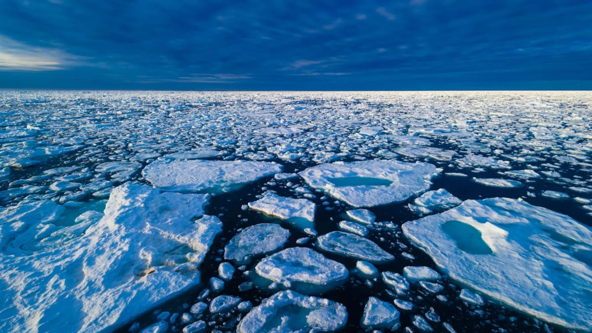 Scientists Solve Arctic Ice Mystery With Simple Discovery