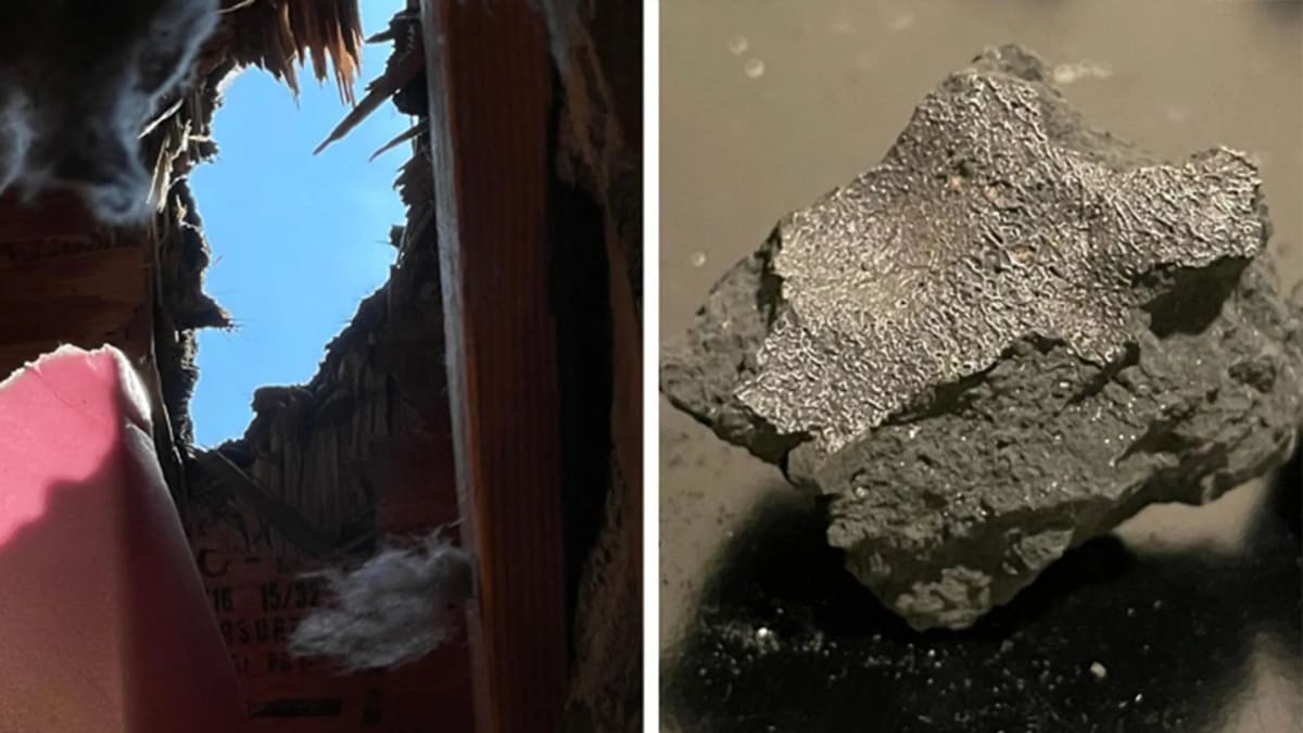 Fragments of dark gray meteorite that crashed through New Jersey home roof in 2024