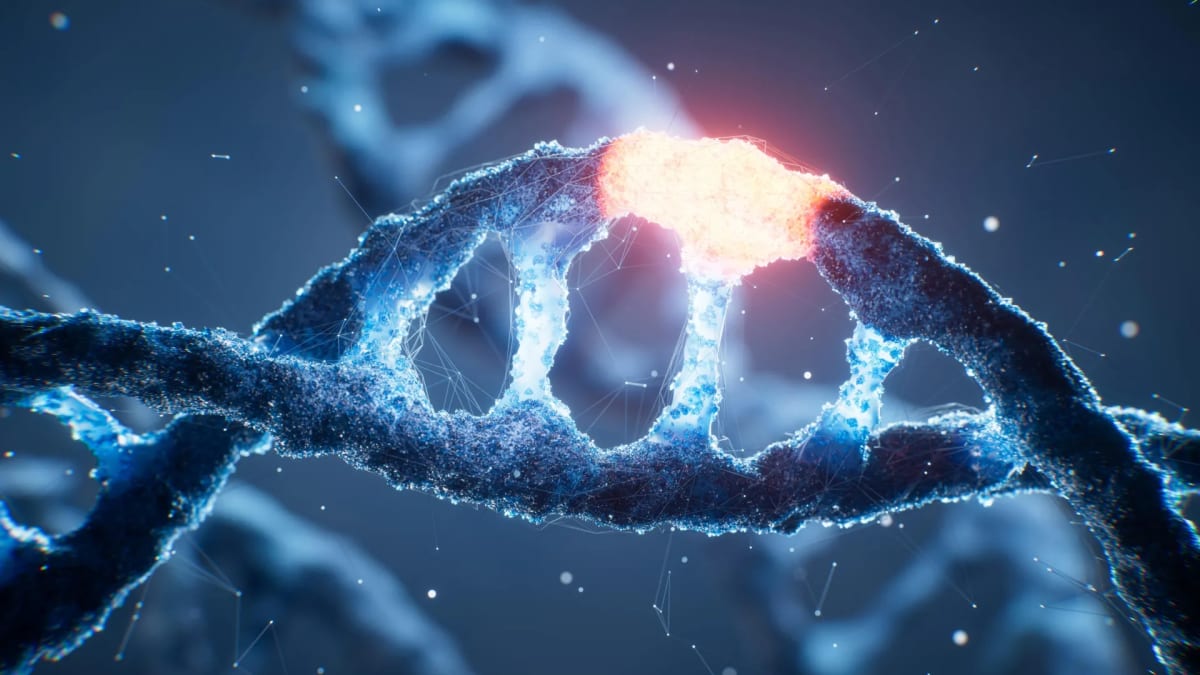 Colorful digital illustration of DNA double helix structure with expanded eight-letter genetic code