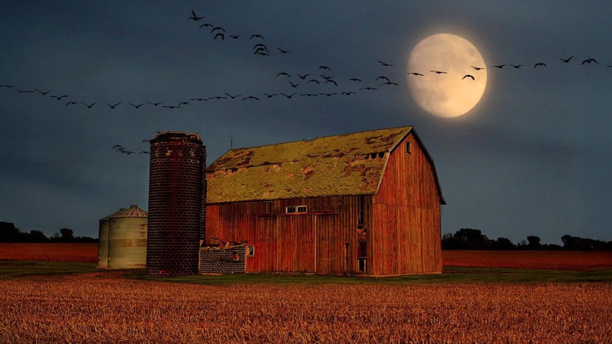 Glowing Harvest Moon rising over barn silhouette as birds fly across twilight sky