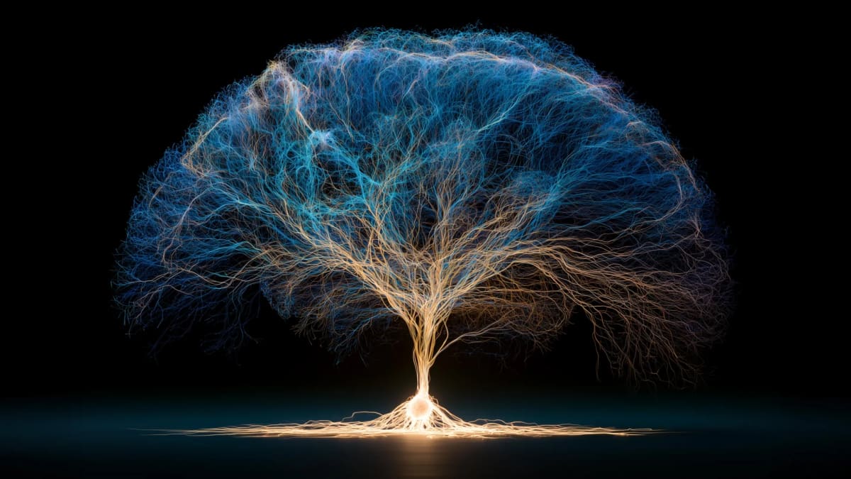 Scientists Find How One Cell Builds a 170 Billion Cell Brain