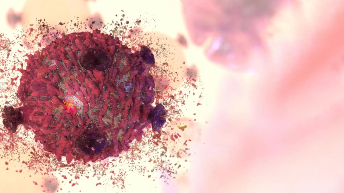 Scientists Crack Code for Rare Cancer-Fighting Compound