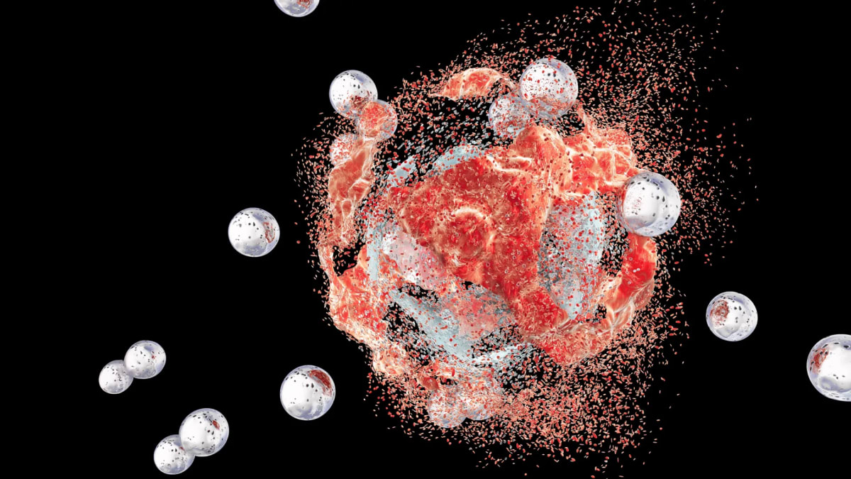 New Molecule Shrinks Aggressive Breast Cancer in Mice